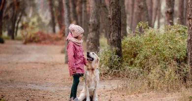 Wakacje z psem i dzieckiem – jak je zaplanować?