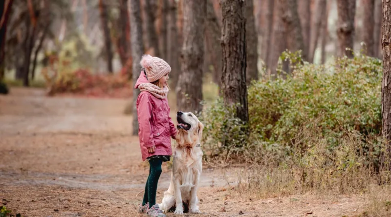 Wakacje z psem i dzieckiem – jak je zaplanować?